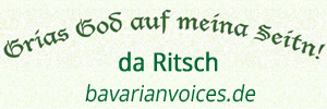logo bavarianvoices.de